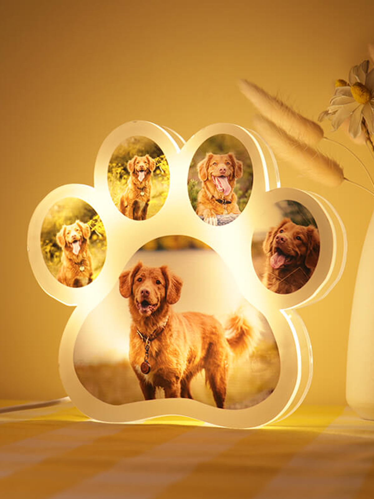 Custom Dog Paw Photo Light